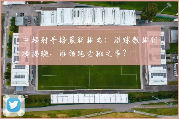 中超射手榜最新排名：进球数排行榜揭晓，谁领跑金靴之争？