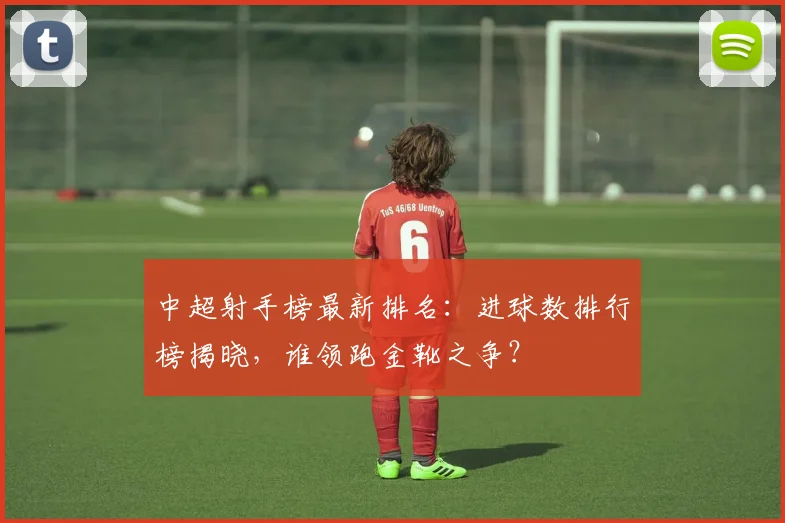 中超射手榜最新排名：进球数排行榜揭晓，谁领跑金靴之争？