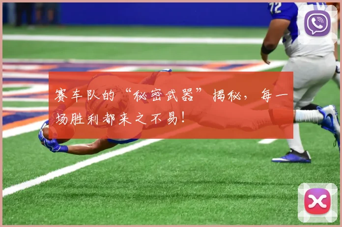 赛车队的“秘密武器”揭秘,每一场胜利都来之不易!